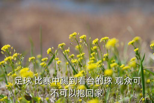 足球比賽現(xiàn)場觀眾,對足球比賽觀眾的描寫