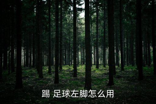 德州業(yè)余足球隊(duì)員