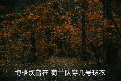 博格坎普在 荷蘭隊穿幾號球衣