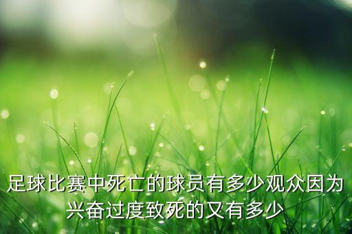 巴基足球場(chǎng)爆炸,天津濱海足球場(chǎng)爆炸