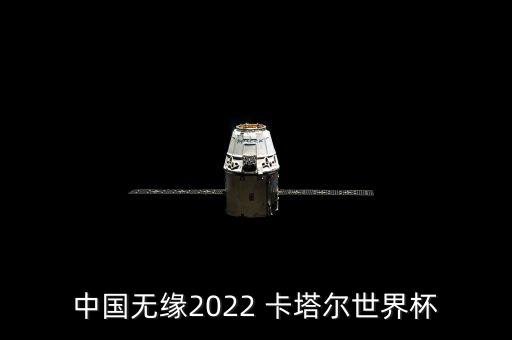 中國無緣2022 卡塔爾世界杯