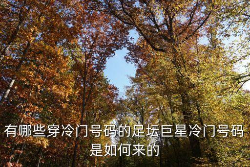 足球明星9號,66號足球明星