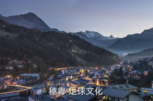 廣州業(yè)余足球看,重慶業(yè)余足球吧