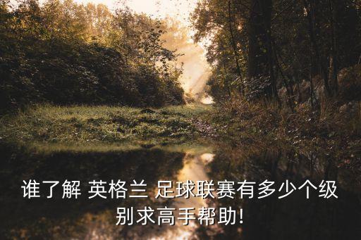 誰了解 英格蘭 足球聯(lián)賽有多少個(gè)級(jí)別求高手幫助!
