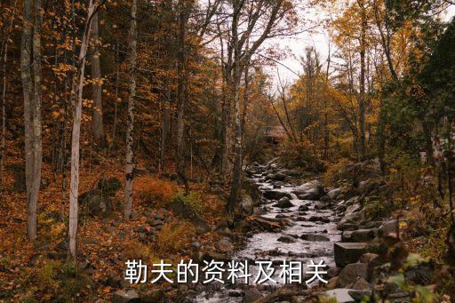勒夫的資料及相關(guān)