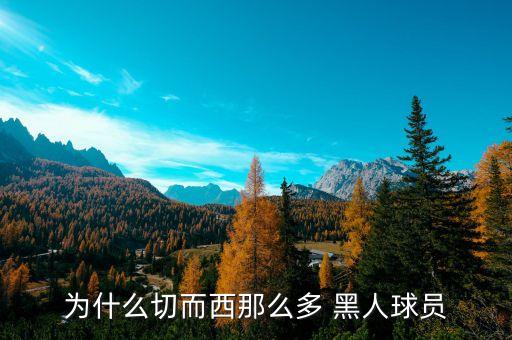 足球明星好多黑人,意大利黑人足球明星