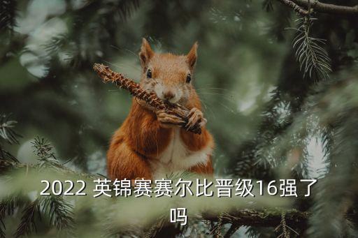 英足球英錦賽今日戰(zhàn)報(bào)