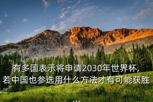 有多國表示將申請2030年世界杯,若中國也參選用什么方法才有可能獲勝...