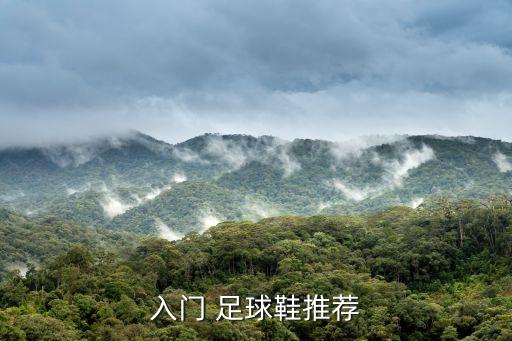 李寧長釘足球鞋,李寧足球鞋怎么樣,質(zhì)量好嗎