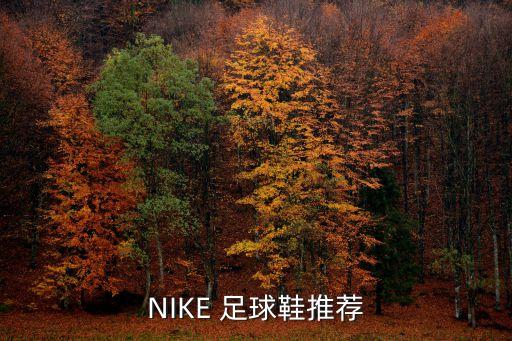 NIKE 足球鞋推薦