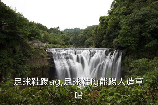 足球鞋踢ag,足球鞋fg能踢人造草嗎