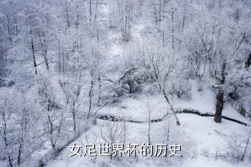 德國女子足球賽,2023德國足球賽