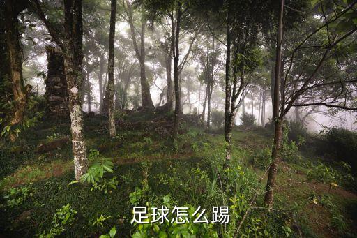 足球的基本踢法教案,足球基本技術(shù)教案