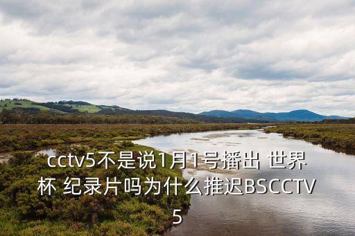 cctv5不是說1月1號播出 世界杯 紀錄片嗎為什么推遲BSCCTV5