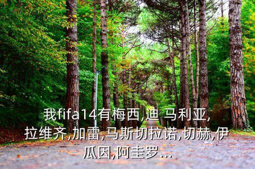 足球大師迪馬利亞433,迪馬利亞是哪國的足球運(yùn)動員