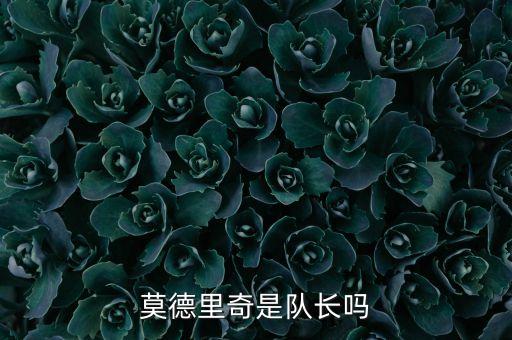 薩格勒布戴拿模足球隊積分榜