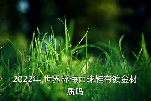 藍(lán)色的世界杯足球鞋,2022世界杯耐克足球鞋