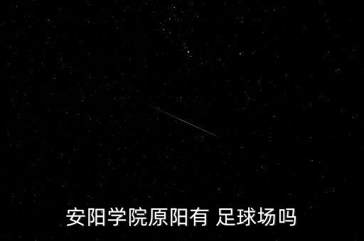 安陽學(xué)院原陽有 足球場嗎