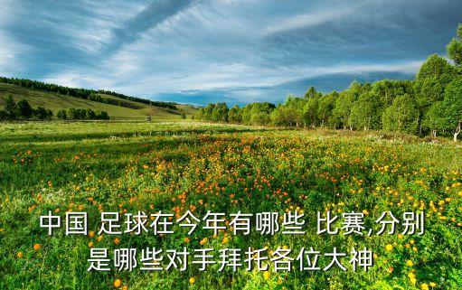 中國 足球在今年有哪些 比賽,分別是哪些對手拜托各位大神