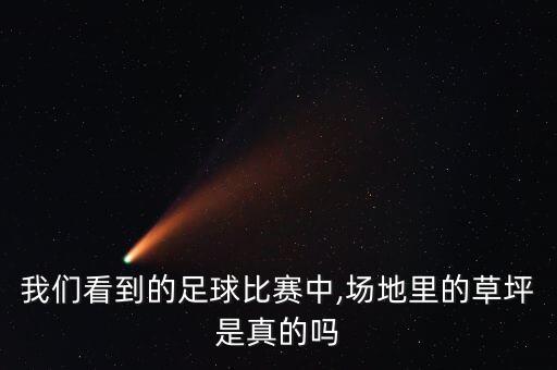 我們看到的足球比賽中,場地里的草坪是真的嗎