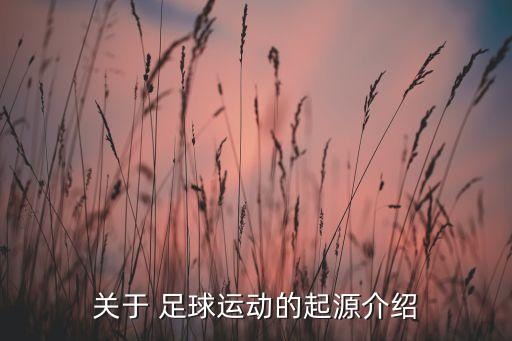 關(guān)于 足球運動(dòng)的起源介紹