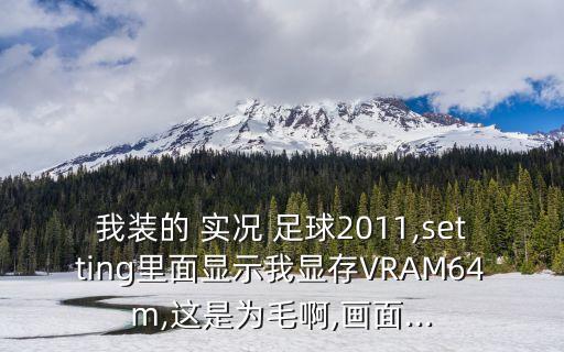 實(shí)況足球vram