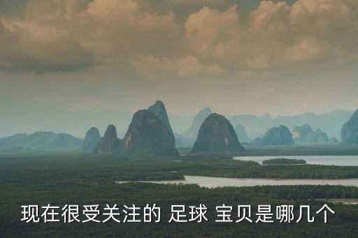 足球?qū)氊惵?陰
