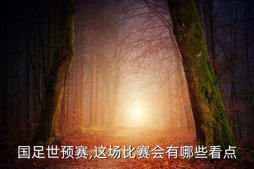 2019中國對菲律賓足球回放