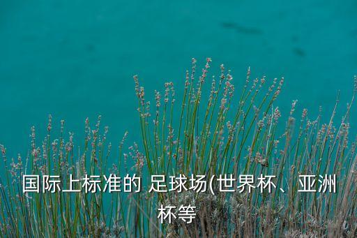 國(guó)際上標(biāo)準(zhǔn)的 足球場(chǎng)(世界杯、亞洲杯等