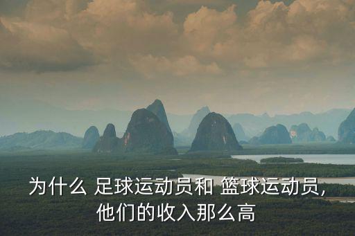 為什么 足球運(yùn)動員和 籃球運(yùn)動員,他們的收入那么高