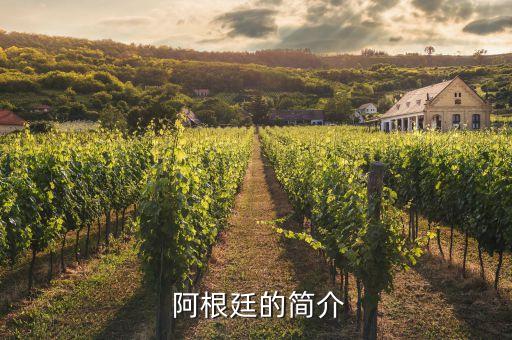  阿根廷的簡(jiǎn)介