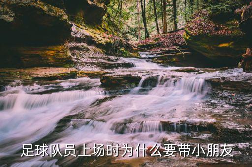  足球隊員上場(chǎng)時(shí)為什么要帶小朋友