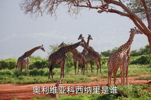 奧利維亞科西納里是誰