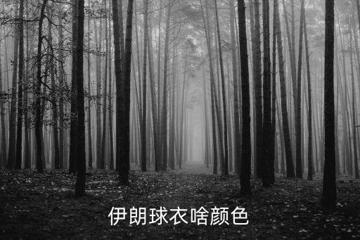 俄羅斯世界杯足球隊服,2022世界杯足球隊服