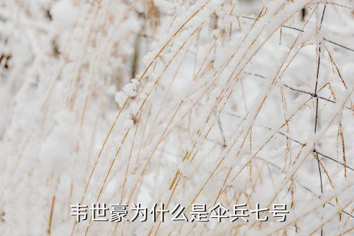 足球運(yùn)動(dòng) 韋世豪足球運(yùn)