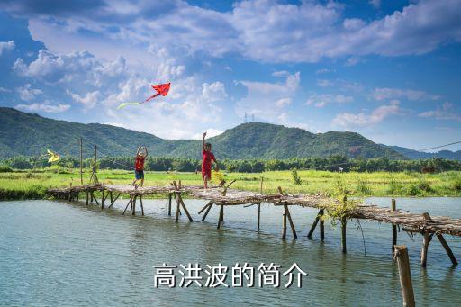 高洪波的簡介