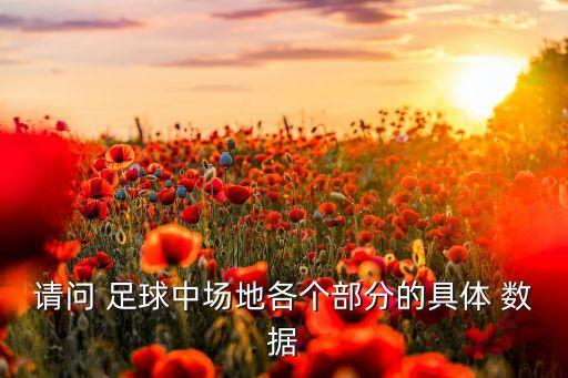 請(qǐng)問 足球中場(chǎng)地各個(gè)部分的具體 數(shù)據(jù)