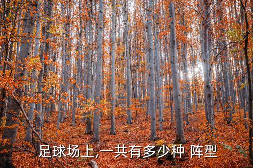 足球的常用陣型,足球常用陣型適合運(yùn)用什么戰(zhàn)術(shù)