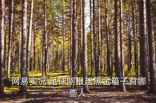  網(wǎng)易實(shí)況 足球阿根廷黑金箱子有哪些人