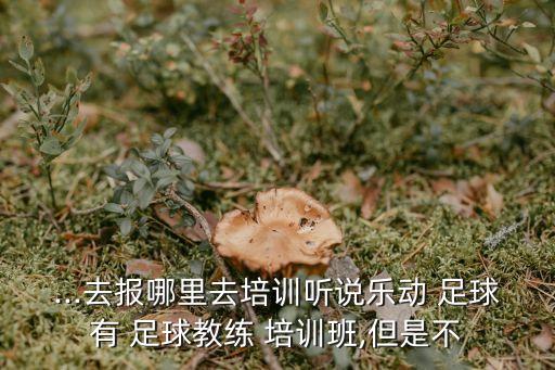 ...去報(bào)哪里去培訓(xùn)聽(tīng)說(shuō)樂(lè)動(dòng) 足球有 足球教練 培訓(xùn)班,但是不