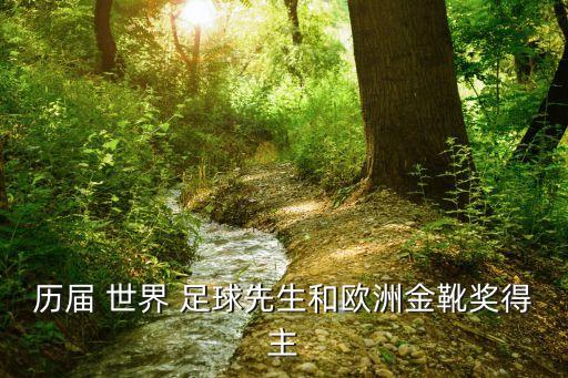 歷屆 世界 足球先生和歐洲金靴獎得主