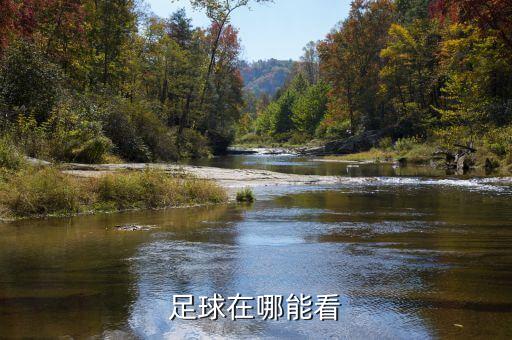 天下足球在哪能看
