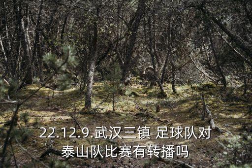 22.12.9.武漢三鎮(zhèn) 足球隊對泰山隊比賽有轉(zhuǎn)播嗎