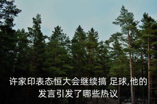 許家印表態(tài)恒大會(huì)繼續(xù)搞 足球,他的發(fā)言引發(fā)了哪些熱議