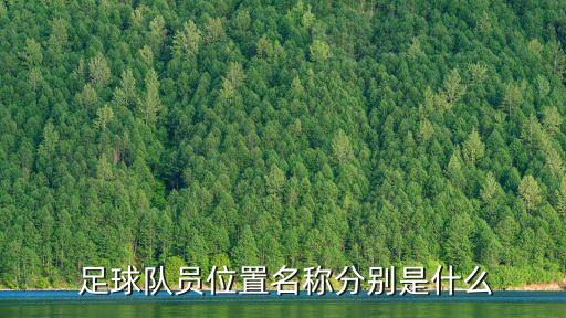  足球隊員位置名稱分別是什么