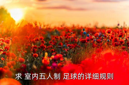 求 室內(nèi)五人制 足球的詳細規(guī)則