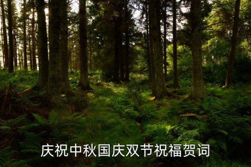 紅旗飄飄國足球迷