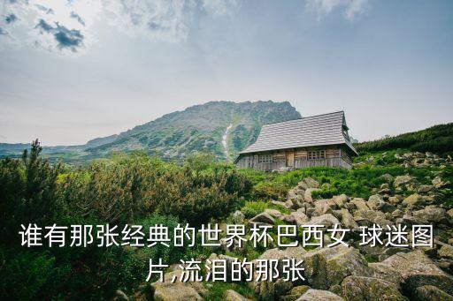 誰有那張經(jīng)典的世界杯巴西女 球迷圖片,流淚的那張