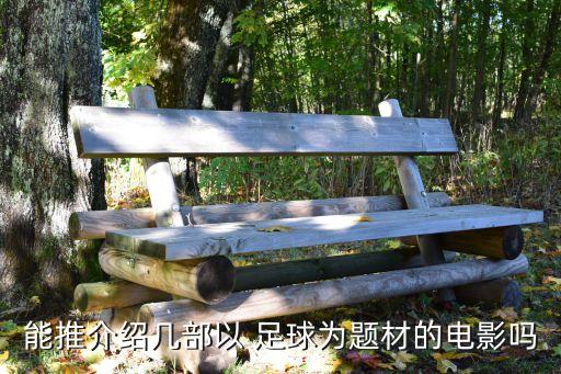 x足球工廠,足球工廠 電影