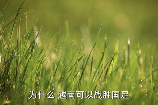 為什么 越南可以戰(zhàn)勝國(guó)足
